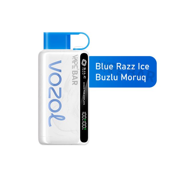 vozol buzlu garagilə