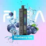 Blueberry_Ice_73e513ee-ac2c-4d33-90fe-09719d09144d