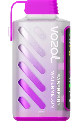 Vozol Gear 20 000 Raspberry Watermelon