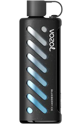 Vozol Gear 25 000 Blueberry Ice