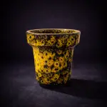 f32e1524-ff34-4174-82ee-0b5f4264bf72