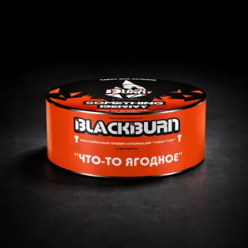 Black Burn Что-то ягодное 25гр
