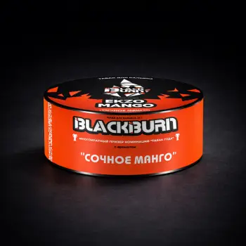 Black Burn Сочное Манго 25гр