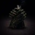 WhatsApp Image 2026-04-23 at 17.53.22 (24)