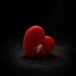 WhatsApp Image 2026-04-23 at 17.53.31